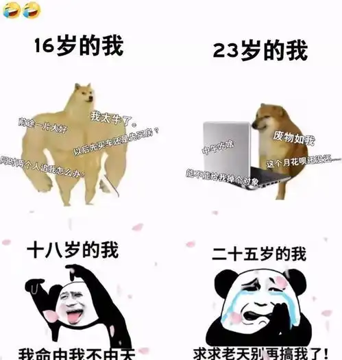 笑死人不偿命系列之老王语录