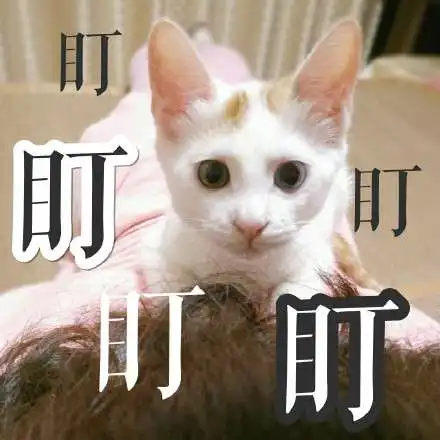 春节过后不想上班的图片带字2018我是谁我在哪儿
