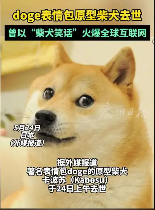 太突然确认已去世,全球知名
