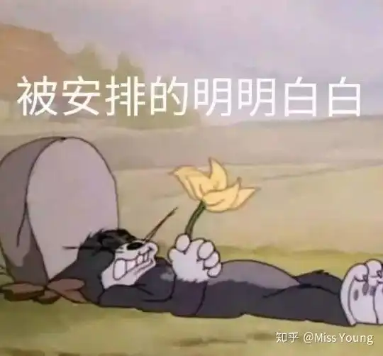 有关不搭理它的表情包皮