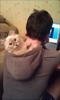 搞笑图片
