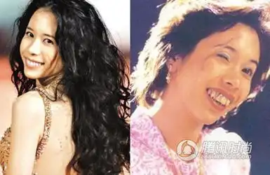 林志玲毁容不倦女星扮起丑来也是蛮拼的
