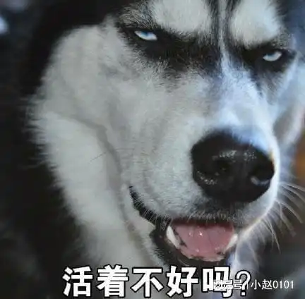 经典幽默搞笑小故事之公主征婚
