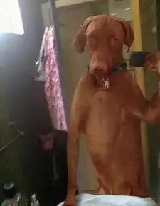 搞笑图片媳妇每次看到蟑螂的时候就是这样的

