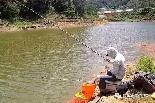 浅谈江河钓鱼技巧,钓位选好了,新手也能鱼获猛增
