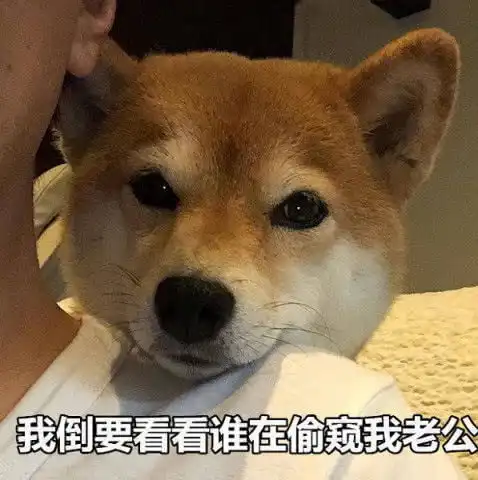 聊天斗图表情撒网是我的本事,入网是你的荣幸
