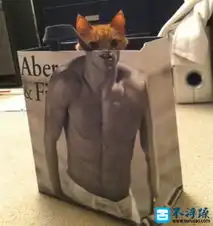 有趣的经典抓拍摄影是件欢乐的事
