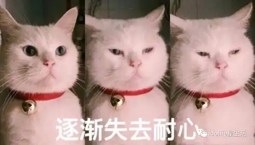 胡歌又结婚了这次是个小13岁的同门师妹...
