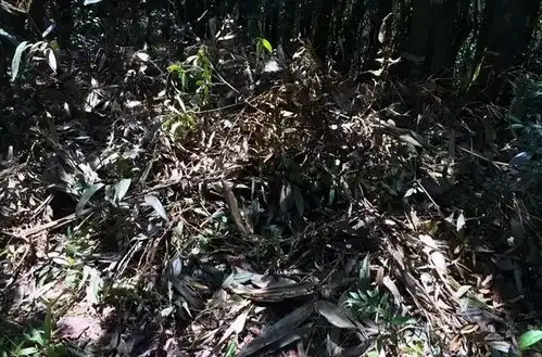 地质工作者的这些照片,绝对不敢让爹妈看到
