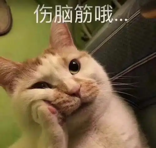 有关不搭理它的表情包囧
