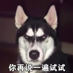 搞笑图片20181225哈士奇表情包
