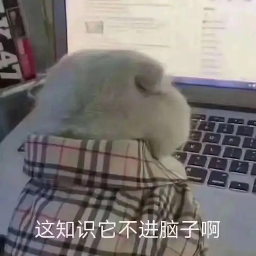 有关不搭理它的表情包脑