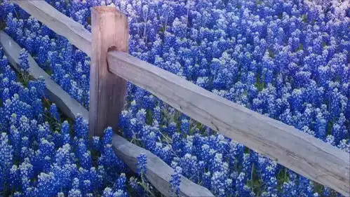 幽默滑稽早安动态祝福语图片带字.