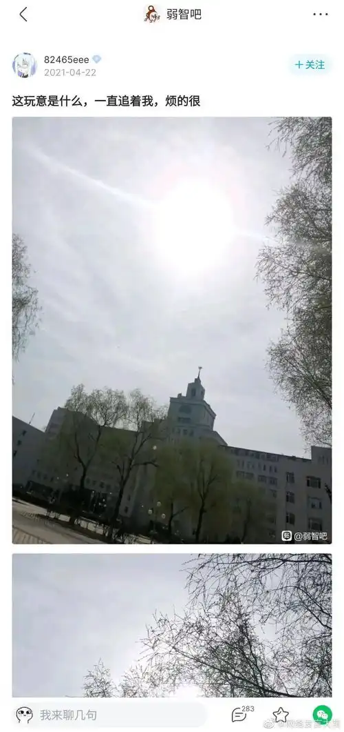 沙雕网友的爆笑烂梗,有时候没点文化,都不一定能看懂笑点在哪
