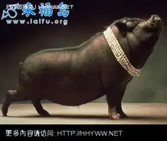 所有笑话笑话大全第2018页
