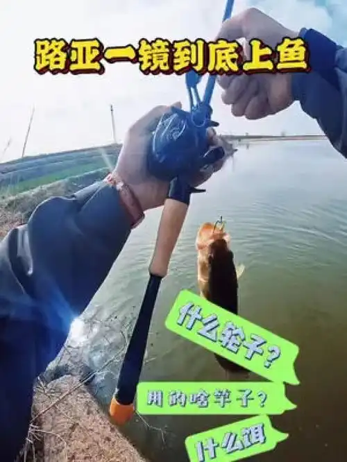户外钓鱼日常钓一钓鲈鱼很好玩
