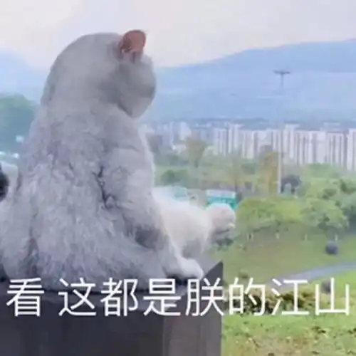 年龄越大,魅力越大的星座
