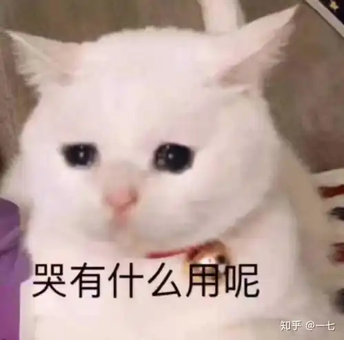 你见过最挑食的人达到什么程度
