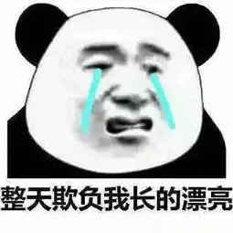 qq斗图必备表情包连豆腐都有脑,而你却没有
