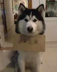 搞笑gif初次见面,如何令妹子永远难忘
