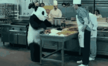 搞笑gif图养猫千日用猫一时,这几年的猫粮,看来没有白吃
