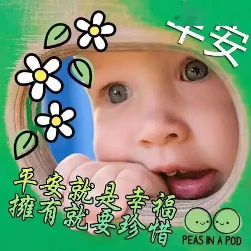 早上好,夏日美好祝福送给您
