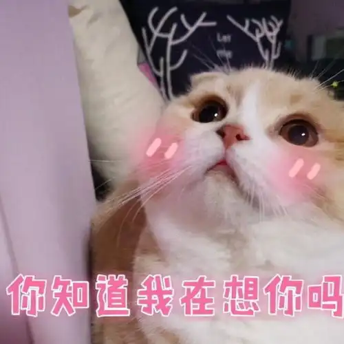 十条段子我一顿能吃五碗饭
