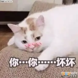 我的眼睛小装一个你正好表情包图片问过自己配不配了吗表情包下载乐游网游戏下载
