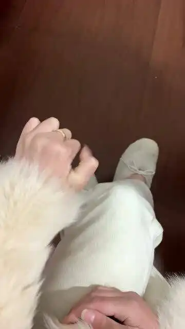 两天没摸麻将了,手痒痒怎么办
