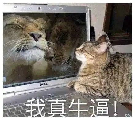 今日份沙雕表情包今晚来我家,我床可舒服了

