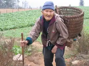 老人是条龙,向谁谁家穷,古人的忠告,如今的社会同样受用
