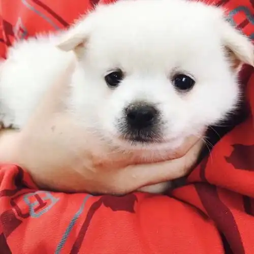 总结一下哈这是2019年最搞笑图片合集
