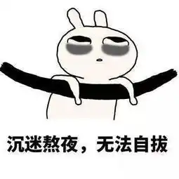搞笑图片熬夜时的我,熬夜后的我
