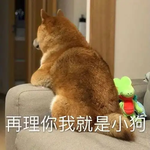 微信里最新热门,搞笑的表情包图片
