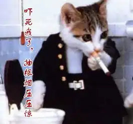 新闻哥爱就大声说出来哥喜欢
