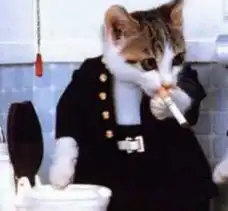 盘点全球搞笑动物猴子抽烟酷劲十足自然地理
