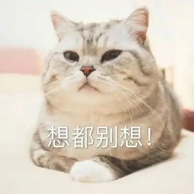 搬砖表情图片搞笑微信表情大全