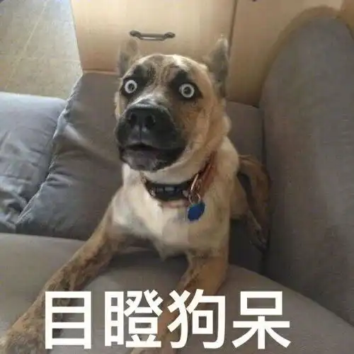 最搞笑这么明显的改动
