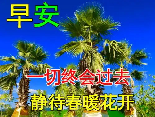 12月26日早上好动态表情图片大全,早上好动图美图大全
