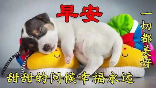 2020早上好图片动态最美早安问候语动态图片
