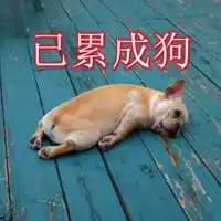 已累成狗配图我已经累成狗了配图搞笑带字
