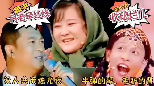 搞笑改编配音,贾玲张嘉译变光棍爆笑求月老,小宝收破烂歌词笑喷
