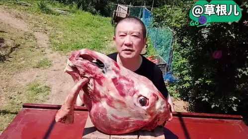 270块钱搞个大驴头开卤,农村铁锅柴火,满屋飘肉香
