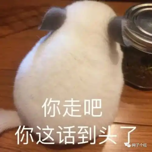 男友觉得开车送我浪费油钱看着都窒息了
