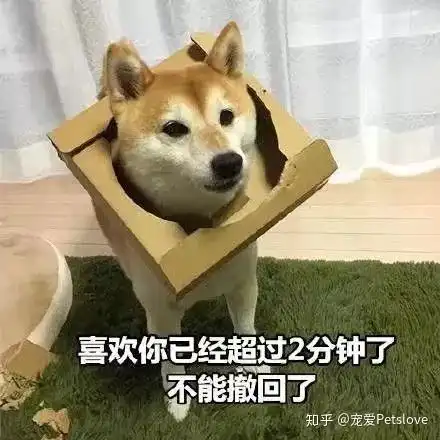 你怎么跟狗一样表情包