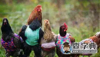 天冷了该添衣服了搞笑图片
