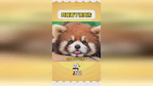 峨眉山的猴人内心的成见是一座大山小熊猫搞笑可爱到爆炸
