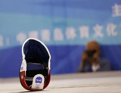 2021年中国中学生击剑联赛北区赛图集高中个人赛
