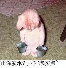 我来发几个经典的搞笑图片
