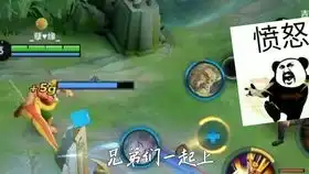 王者农药
